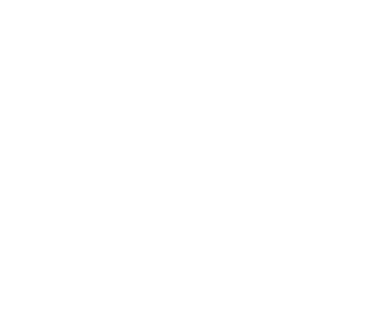 Theo Eyewear