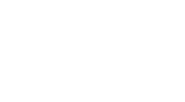 VAVA